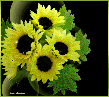 Открытки с подсолнухами скачать бесплатно. Открытки с подсолнухами gif.