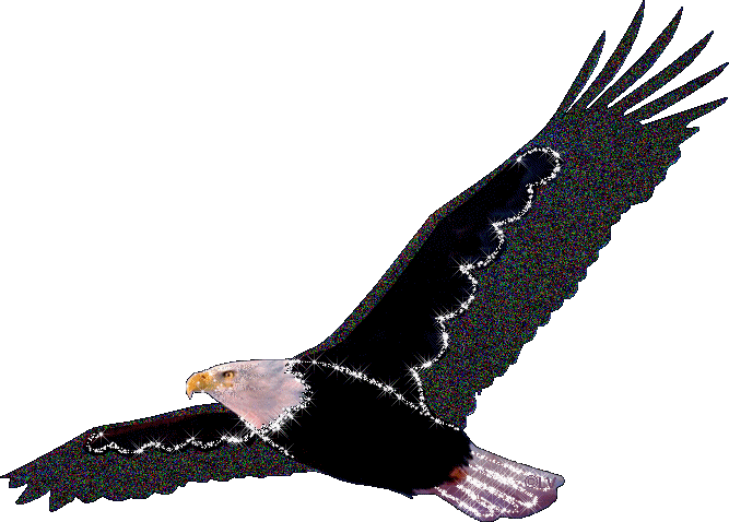 Открытки с орлом скачать бесплатно. Открытки с орлом онлайн.