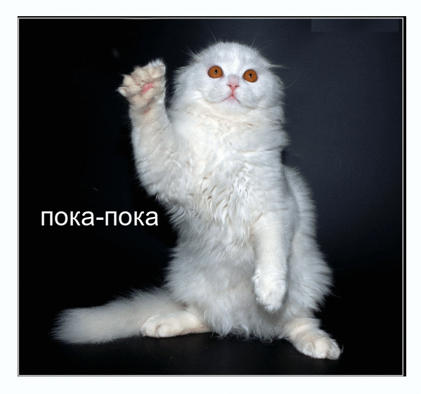 Открытки с прощанием с текстом пока пока