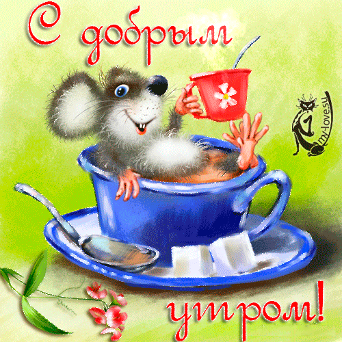 Открытки поздравления с добрым утром 