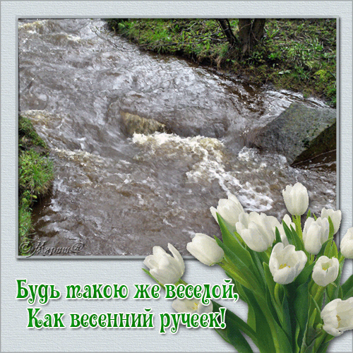 Открытки с ручьями с анимациями. Красивые открытки с ручьями.