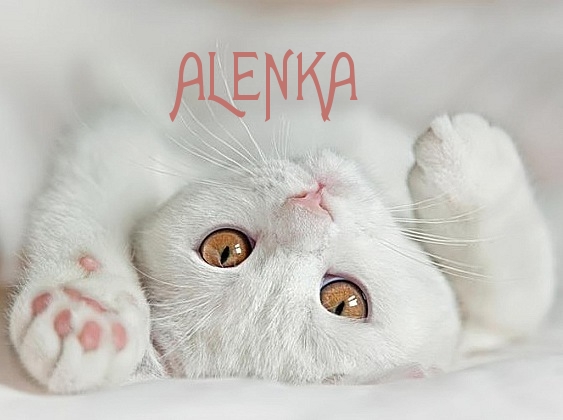 Открытки с именем Алёна скачать бесплатно. Открытки с именем Алёна gif.