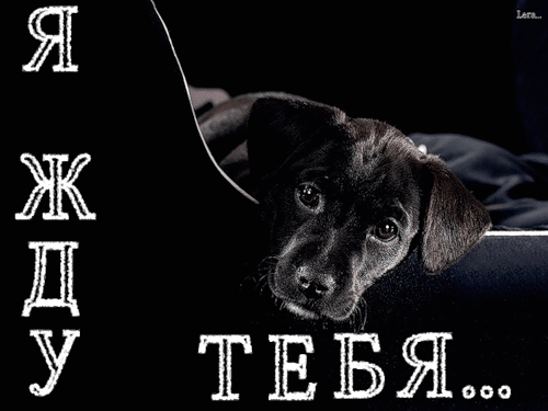 Открытки я жду тебя.