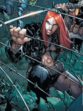 Открытки с Тифозной Мэри.