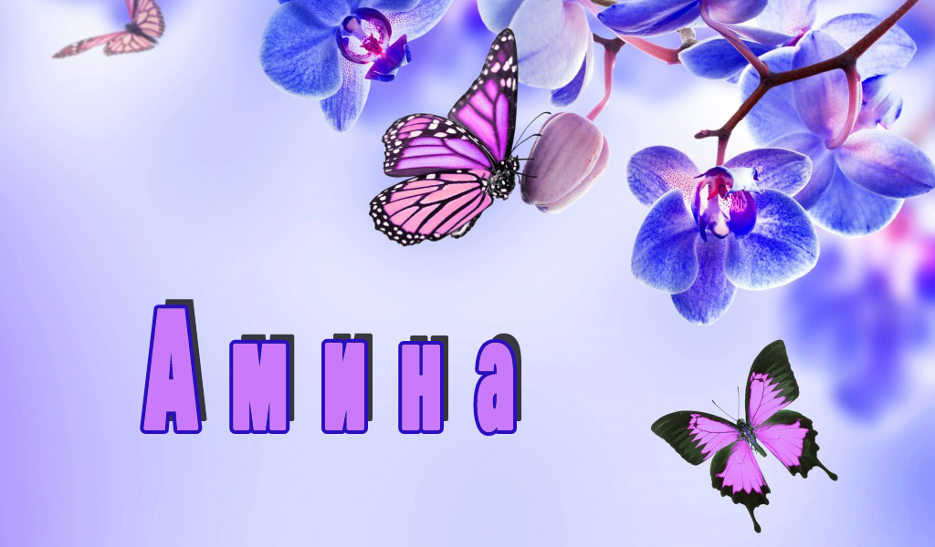 Открытки с именем Амина.