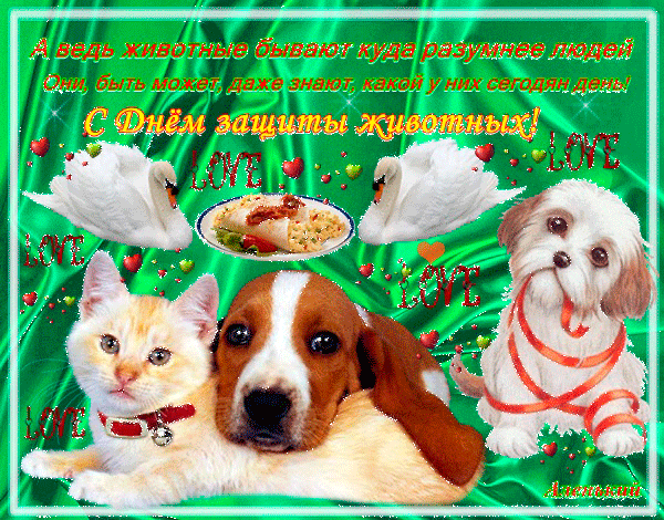 Открытки с днём защиты животных.
