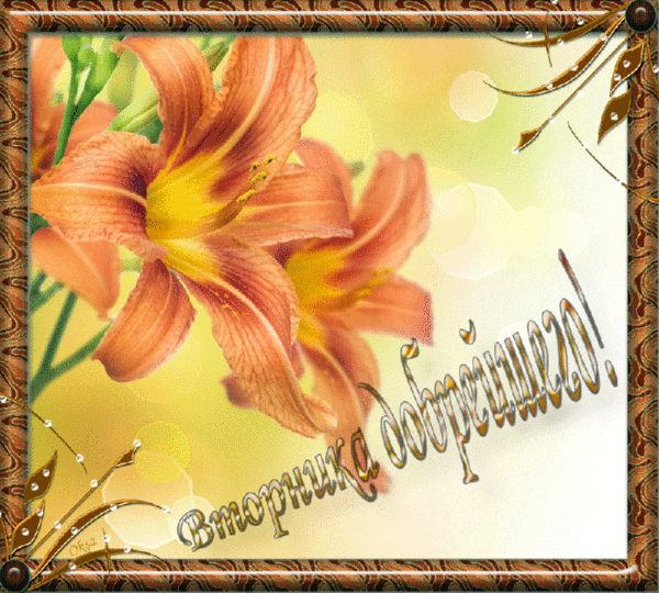 Открытки на вторник.