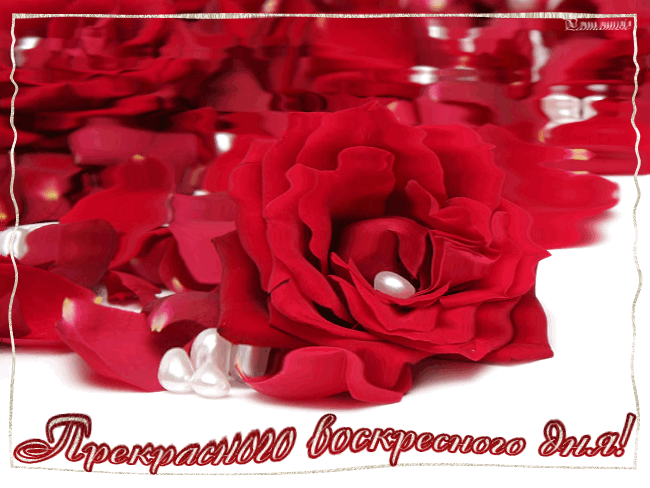 Открытки на воскресенье.