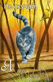 Открытки не скучай.