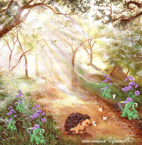 Открытки с весенним лесом.