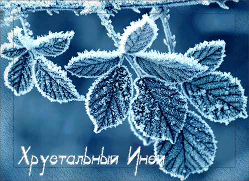 Открытки с инеем.