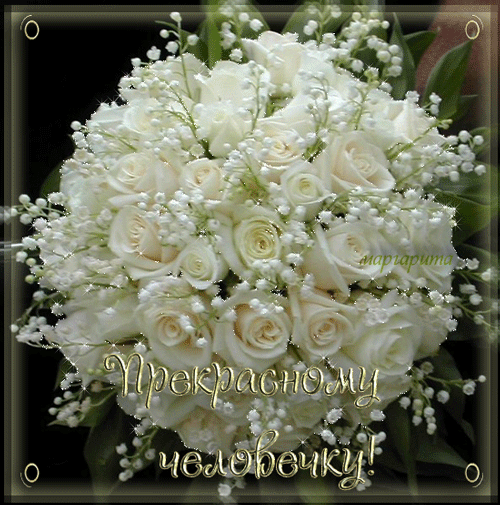 Открытки с белыми розами.