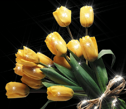 Открытки с желтыми тюльпанами.