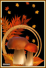 Открытки с лесными грибам.