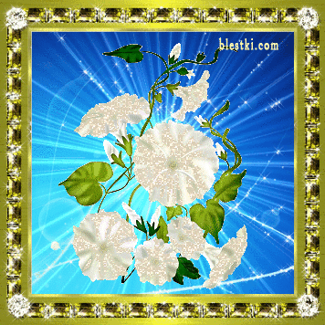 Открытки с вьюнками.