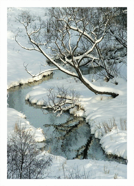 Открытки с зимней природой.