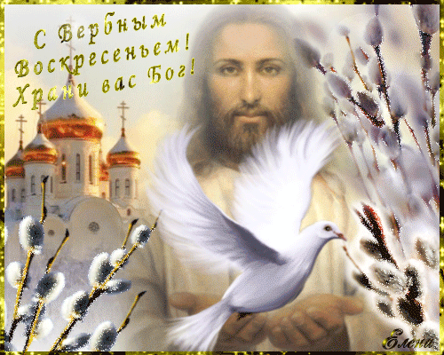 Открытки с Вербным Воскресеньем.