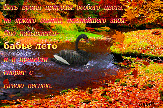 Открытки со стихами о бабьем лете.