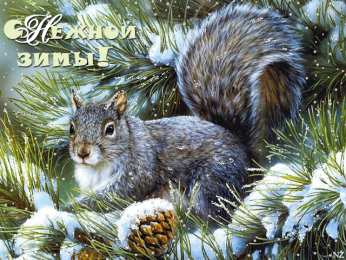 Открытки с белочками  Открытки с белочками gif. Скачать бесплатно открытки с белками.