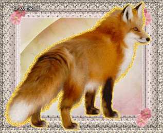 Открытки с лисичками Открытки с лисичками скачать бесплатно. Открытки с лисичками gif.