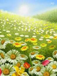 Открытки с цветочными полями  Открытки с цветочными полями с анимациями. Красивые открытки с цветами.