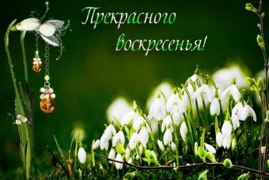 Открытки на воскресенье  Открытки на воскресенье скачать. Открытки на воскресенье бесплатно.