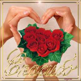 Открытки с благодарностью Красивые открытки с благодарностью. Открытки с надписью спасибо.