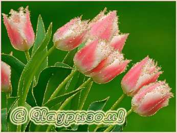 Открытки с Наурызом Анимационные открытки с праздником Наурыз скачать бесплатно.