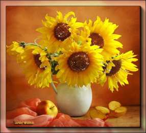 Открытки с подсолнухами Открытки с подсолнухами скачать бесплатно. Открытки с подсолнухами gif.