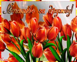 Открытки о дружбе Бесплатные Открытки о дружбе скачать. Открытки о дружбе с анимациями.