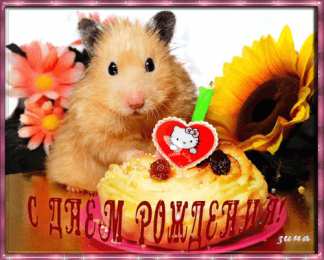 Открытки с хомяками Скачать бесплатно открытки с хомяками. Открытки с хомяками gif.