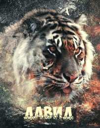 Открытки с именем Давид Открытки с именем Давид скачать бесплатно. Открытки с именем Давид gif.