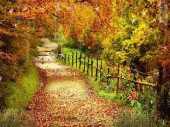 Открытки с листопадом Открытки с листопадом скачать. Открытки с листопадом бесплатно.