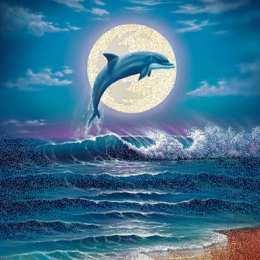 Открытки с дельфинами Открытки с дельфинами с анимациями. Открытки с дельфинами скачать.