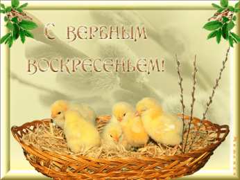 Открытки с Вербным Воскресеньем Скачать бесплатные анимационные открытки с Вербным Воскресеньем.