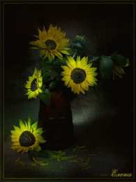 Открытки с подсолнухами Открытки с подсолнухами скачать бесплатно. Открытки с подсолнухами gif.