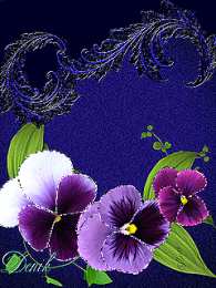 Открытки с разноцветными анютиными глазками  Открытки с разноцветными анютиными глазками скачать бесплатно.