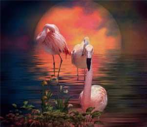 Открытки с фламинго Открытки с фламинго с анимациями. Открытки с фламинго скачать.