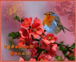 Открытки весна Открытки весна скачать бесплатно. Анимационные открытки весна.