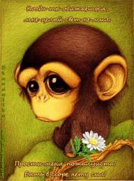 Открытки с обезьянами Открытки с обезьянами gif. Открытки с обезьянами скачать бесплатно.