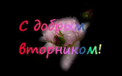 Открытки на вторник Открытки на вторник скачать. Открытки на вторник бесплатно онлайн.