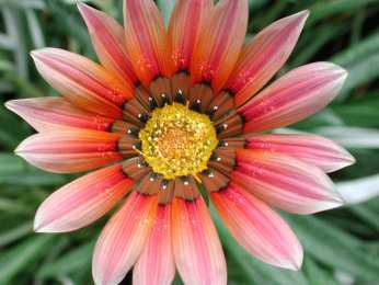 Открытки с гацаниями Открытки с гацаниями скачать бесплатно. Открытки с гацаниями онлайн.