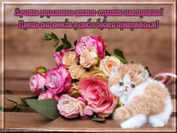 Открытки хорошего настроения Самые лучшие Открытки хорошего настроения скачать бесплатно.