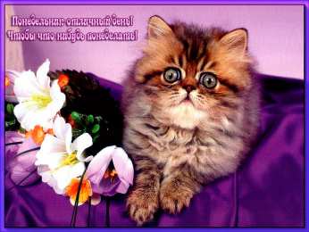 Открытки на понедельник Открытки на понедельник скачать. Открытки на понедельник бесплатно.