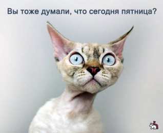 Открытки на четверг Открытки на четверг скачать. Открытки на четверг бесплатно онлайн.