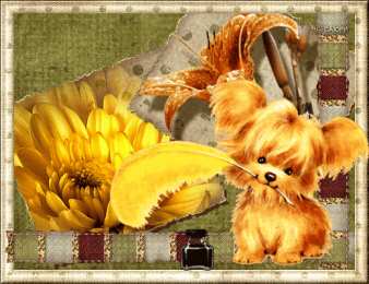 Открытки с приветствием   Скачать  красивые  Открытки с  приветствием  бесплатно gif.