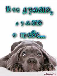 Открытки думаю о тебе Скачать Открытки думаю о тебе бесплатно. Открытки думаю о тебе gif.
