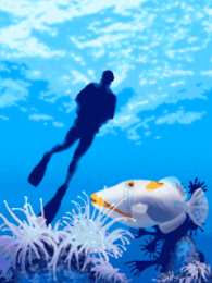 Открытки с рыбами  Открытки с рыбами скачать бесплатно. Открытки с рыбами gif. 