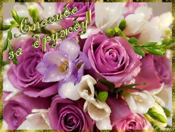 Открытки о дружбе Бесплатные Открытки о дружбе скачать. Открытки о дружбе с анимациями.