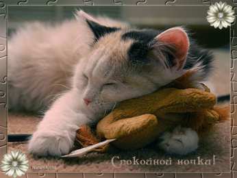 Открытки спокойной ночи Гифки с пожеланиями сладких снов с котиками